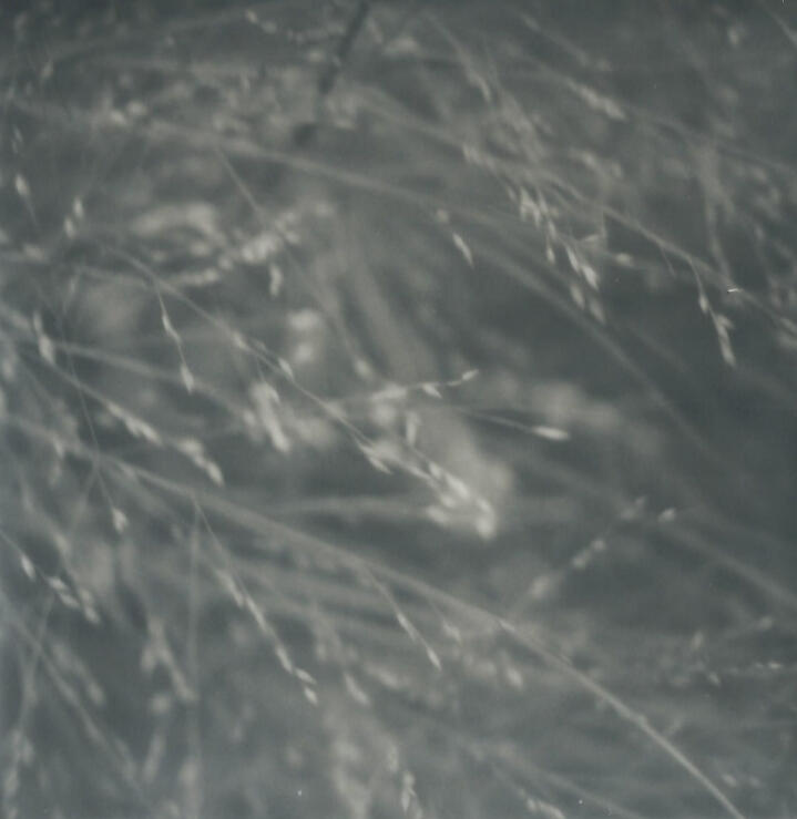 An encounter - shot on Polaroid SX-70, Amsterdam 2019.